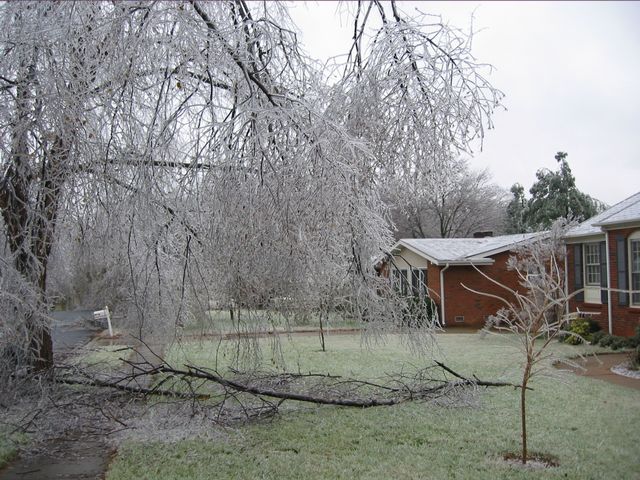 Winter Storm 2002, photo 33