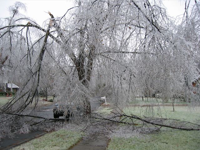 Winter Storm 2002, photo 34