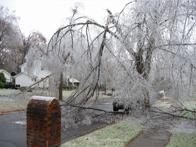 Winter Storm 2002, photo 35