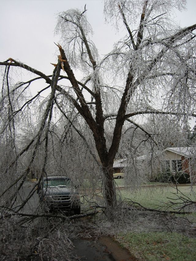 Winter Storm 2002, photo 36