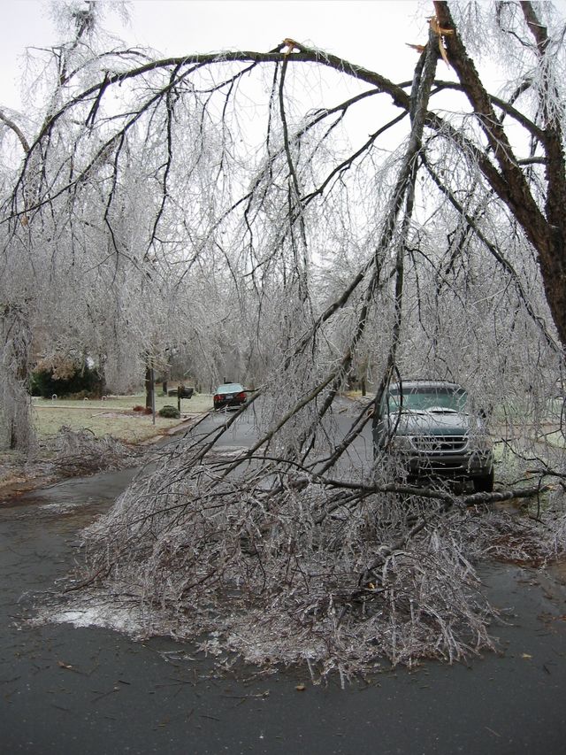Winter Storm 2002, photo 37