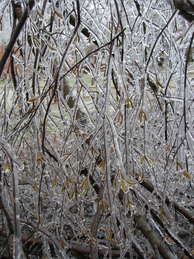 Winter Storm 2002, photo 39
