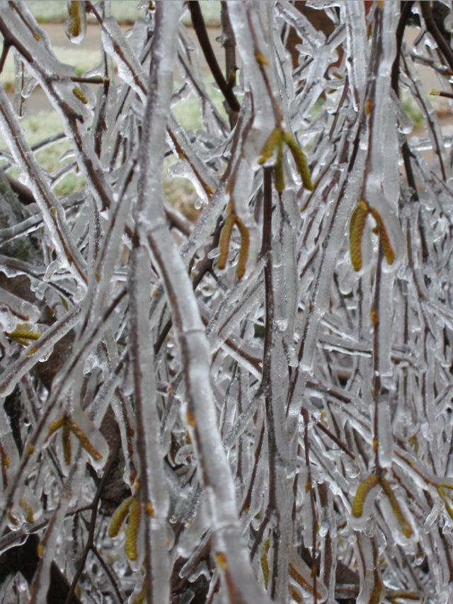 Winter Storm 2002, photo 40