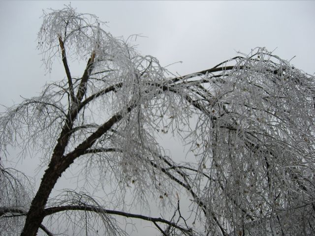 Winter Storm 2002, photo 41