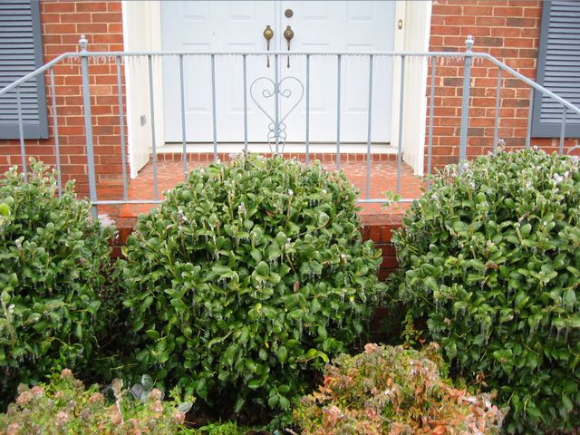 Winter Storm 2002, photo 4