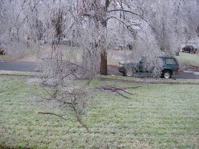 Winter Storm 2002, photo 46
