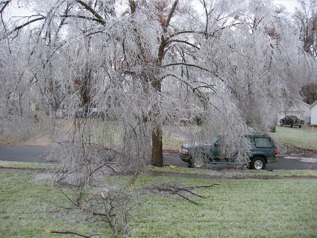 Winter Storm 2002, photo 47