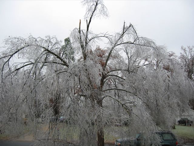 Winter Storm 2002, photo 48