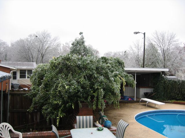 Winter Storm 2002, photo 49