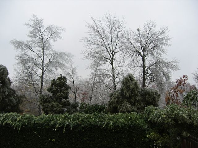 Winter Storm 2002, photo 51