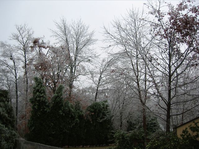 Winter Storm 2002, photo 52
