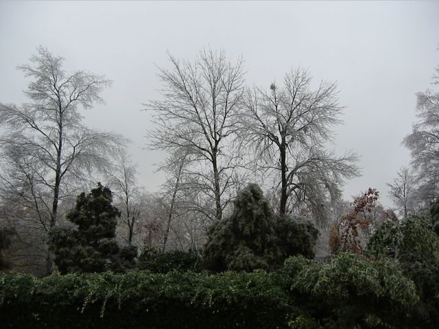 Winter Storm 2002, photo 53