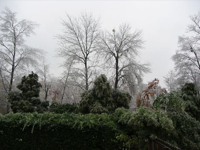 Winter Storm 2002, photo 54