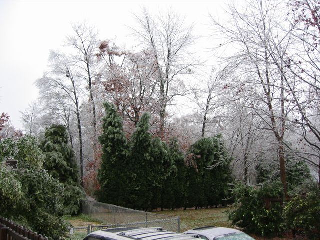 Winter Storm 2002, photo 55