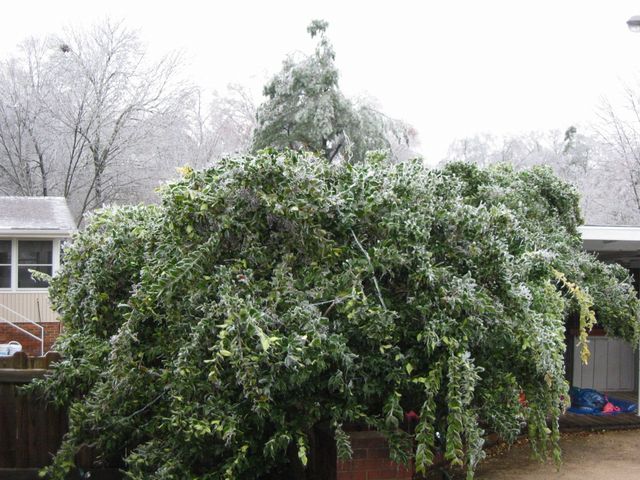 Winter Storm 2002, photo 56