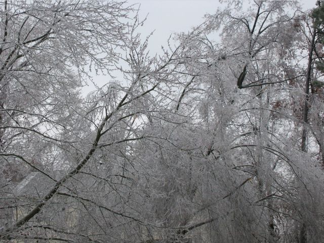 Winter Storm 2002, photo 57