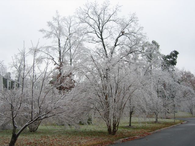 Winter Storm 2002, photo 60