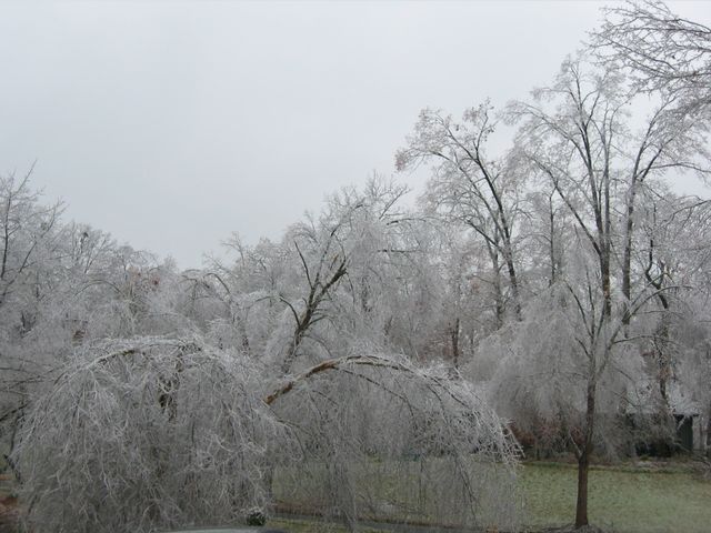 Winter Storm 2002, photo 61