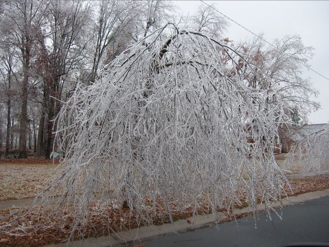 Winter Storm 2002, photo 62