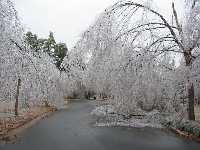 Winter Storm 2002, photo 63