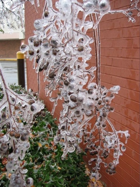 Winter Storm 2002, photo 66