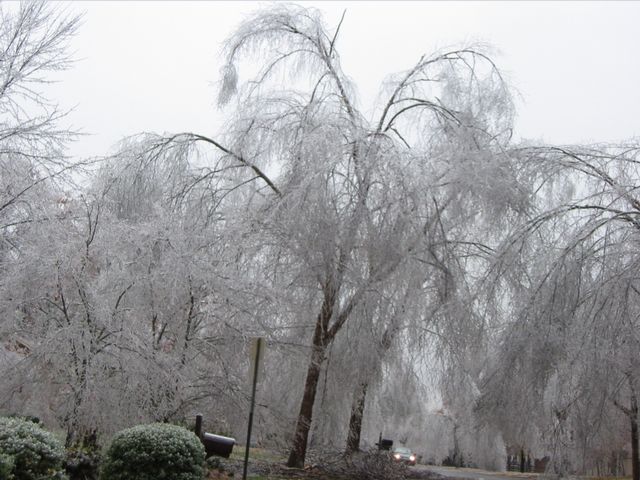 Winter Storm 2002, photo 67