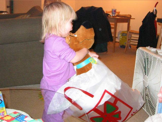 Xmas 2002 - Green Bay, WI, photo 11