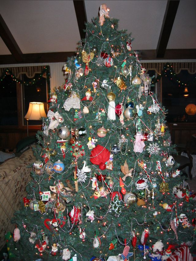 Xmas 2002 - Eagle, WI, photo 10