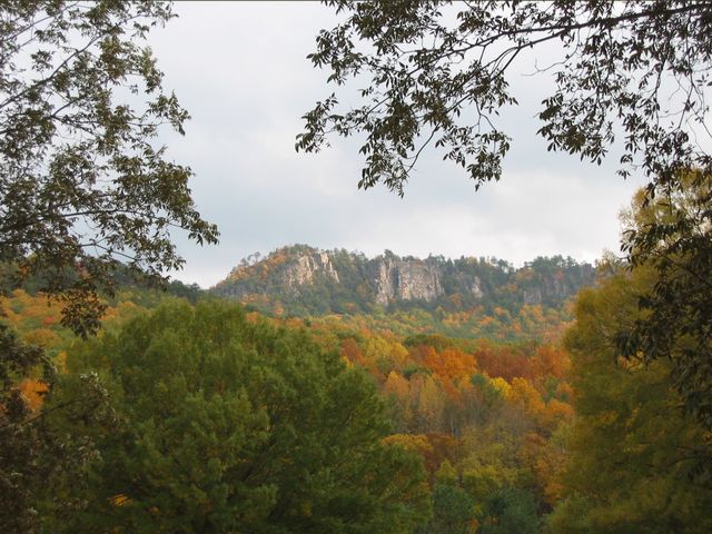 Day Hike at Crowder's Mountain, photo 5
