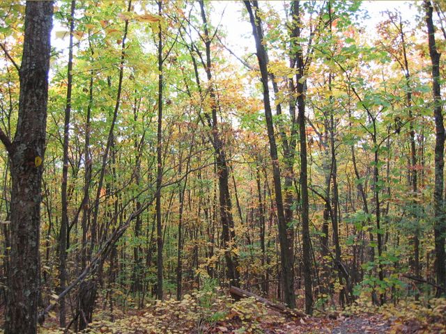 Day Hike at Crowder's Mountain, photo 9