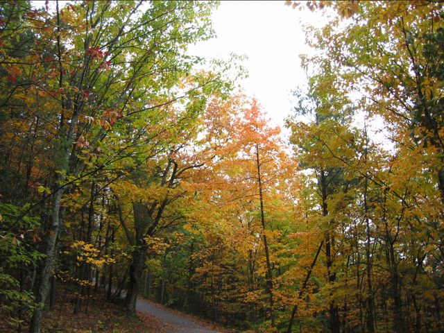 Day Hike at Crowder's Mountain, photo 14