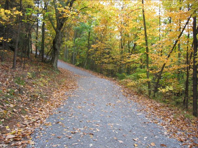 Day Hike at Crowder's Mountain, photo 15