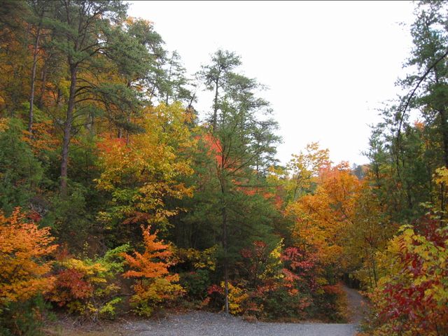 Day Hike at Crowder's Mountain, photo 21