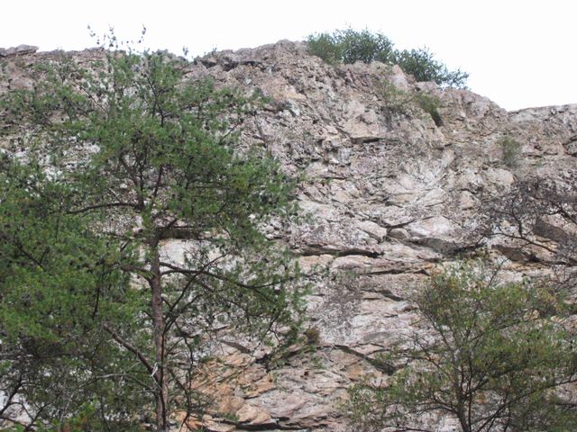 Day Hike at Crowder's Mountain, photo 23