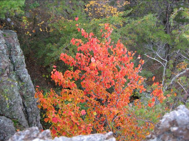 Day Hike at Crowder's Mountain, photo 41
