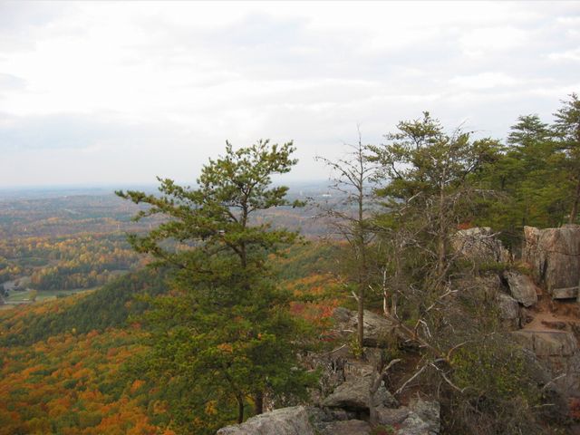 Day Hike at Crowder's Mountain, photo 46