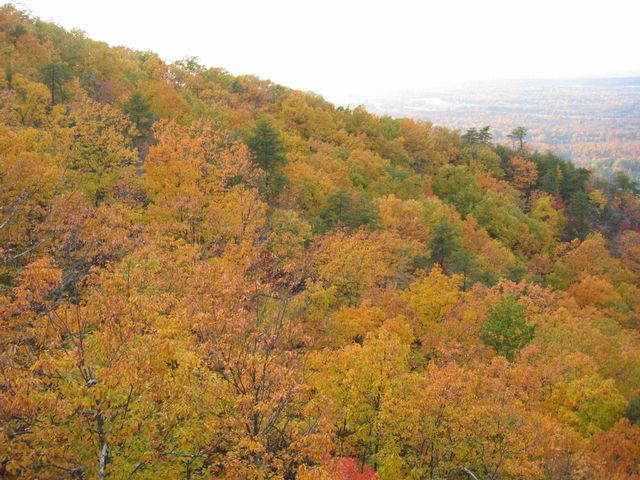 Day Hike at Crowder's Mountain, photo 49