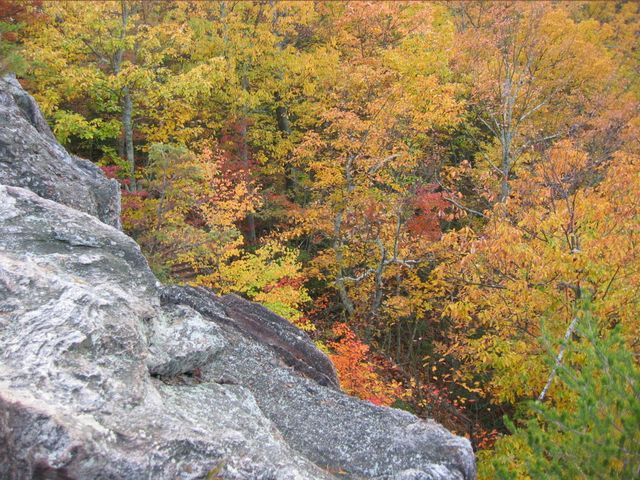 Day Hike at Crowder's Mountain, photo 51