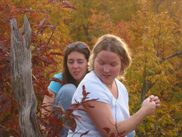 Day Hike at Crowder's Mountain, photo 53
