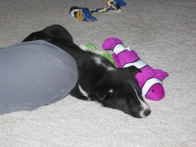 I'm pooped, it's been a long day!