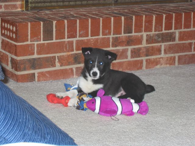 I love all my new toys, how fun!