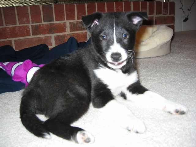 Smile for the camera!