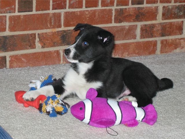 Oliver - 03/08/2003, photo 16