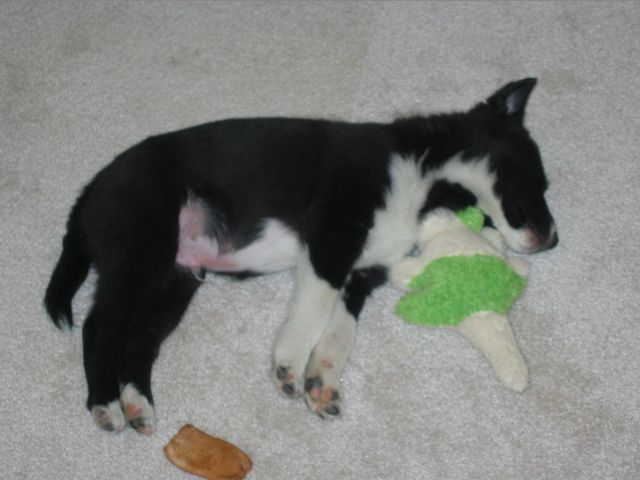 Oliver - 03/11/2003, photo 1