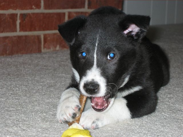 Oliver - 03/11/2003, photo 4