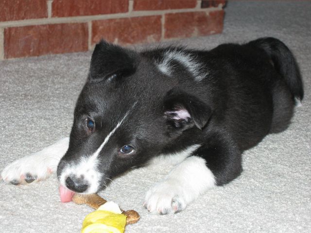 Oliver - 03/11/2003, photo 6