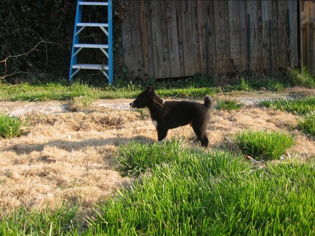 Oliver - 03/11/2003, photo 7