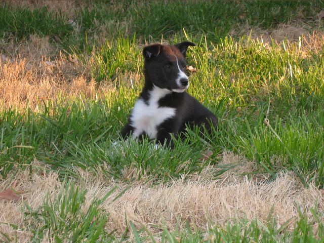 Oliver - 03/11/2003, photo 12