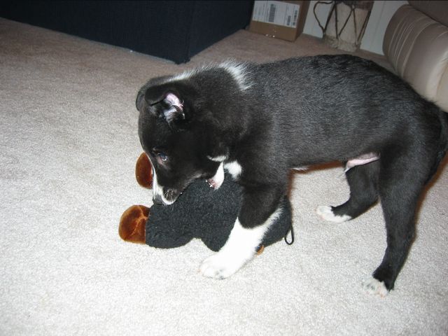Oliver - 03/11/2003, photo 13