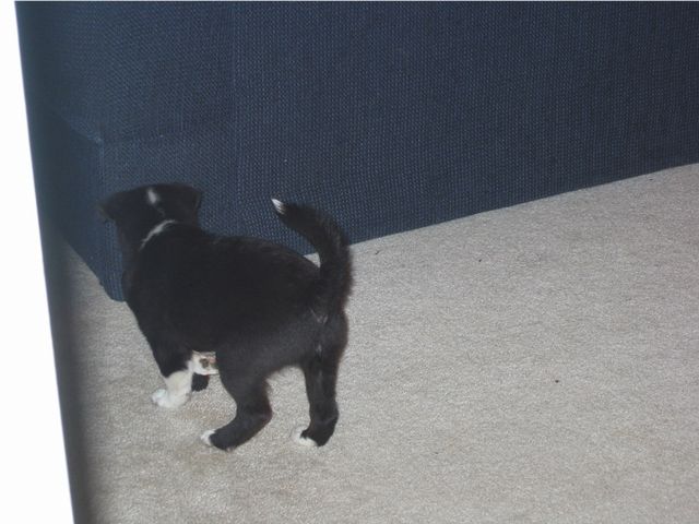 Oliver - 03/11/2003, photo 15
